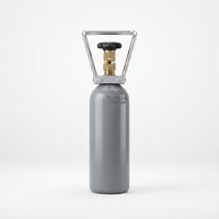 Cylindre en acier pour dioxyde de carbone EN ISO9809 2,7 L, cylindre de CO2 de 2 kg avec valve et poignée en acier
