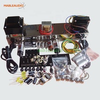 Kit d'amplificateur de guitare à tube professionnel MAGT0006 5F6A Tweed Bassman avec châssis et pièces DIY
