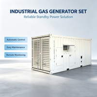 Groupe électrogène silencieux conteneurisé au gaz naturel 200-2000 kW, biogaz, GNL, ATS, démarrage automatique, plan d'alimentation industriel en conteneur