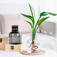 Ventes en gros de pots de fleurs hydroponiques en plastique PP transparent, écologiques, chromés, modernes et simples, 150 ml