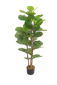 ต้นไวโอลินพลาสติก JWS3935 ใบเต็ม ต้นไม้ประดิษฐ์รักษ์โลก คุณภาพสูง ตกแต่งภูมิทัศน์ ขนาดปรับแต่งได้ สำหรับ<span class=keywords><strong>บ้าน</strong></span> สำนักงาน ภายในและภายนอกอาคาร - Product Image 6