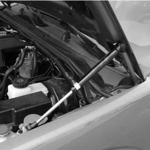 Vérin à gaz de levage lourd pour hayons et remorques de camion (50 à 500N 100 à 600mm) OEM/ODM personnalisé disponible - Product Image 2