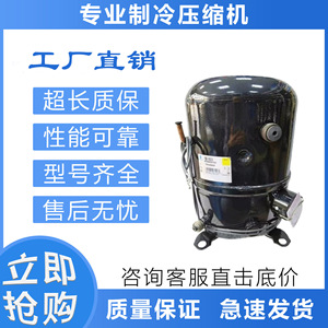 คอมเพรสเซอร์ทำความเย็น Tecumseh รุ่น AWG5524EVA 220V สำหรับห้องเย็น - Product Image 5
