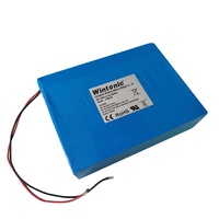 Dalam Siklus Lifepo4 Baterai 48V 30Ah untuk Sepeda Listrik 2000W dengan Pengisi Baterai