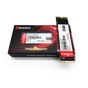 Ramsta M2 Ssd NVMe M.2 SSD Portabel, Drive Penyimpanan Keadaan Padat 128G 256GB 512GB 1TB