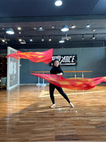 Nouveau style de costume de danse du ventre pour femmes, drapeau de louange égyptien, voile dégradé rouge, accessoire de scène, taille unique
