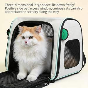 Sac de transport pour animaux de compagnie de style nouveau, grande capacité, bagages à roulettes, roues à 360 degrés, sac d'extérieur pour chats et petits chiens - Product Image 4