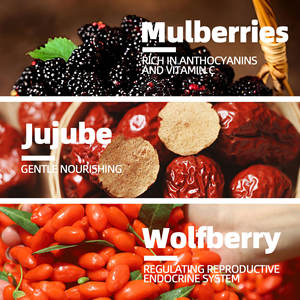 Organik ginseng ve wolfberry sağlık çayı erkek doğurganlığını arttırmak için torbalarda paketlenmiştir - Product Image 4