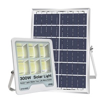 NUEVA LUZ SOLAR DE INUNDACIÓN 2021 DE 100W 200W 300W CON ALTO BRILLO