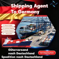 Agente de Transporte Marítimo en Alemania, Envío Puerta a Puerta desde el Aeropuerto de Múnich, Envío Internacional, Servicio Logístico Express
