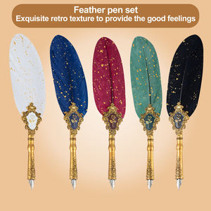 Set di Penne con Piume Colorate in Confezione, Stile Europeo, Penna ad Immersione di Alta Qualità con Punta in Lega <span class=keywords><strong>per</strong></span> Praticare la <span class=keywords><strong>Calligrafia</strong></span> - Product Image 6