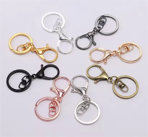 फैक्टरी मूल्य लॉबस्टर क्लैंप कीचेन धातु कुंजी चेन हुक 30 मिमी कुंजी श्रृंखला हुक 30 मिमी कुंजी श्रृंखला स्प्रिंग कीचेन वेल - Product Image 6