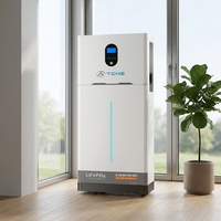 Nouvel arrivage d'usine : Onduleur 6,5 kW avec garantie de 10 ans et batterie solaire 16 kWh pour stockage d'énergie solaire, compatible Wi-Fi et Bluetooth