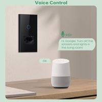 Brésil maison Wifi Smart 10A 16A voix télécommande prise électrique verre trempé 240V Wifi minuterie interrupteur intelligent prise