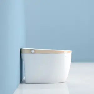 Bathroom Sanitary ware One Piece bidet toilet Self Cleaning Intelligence Toilets Ceramic Automatic Smart Toilet