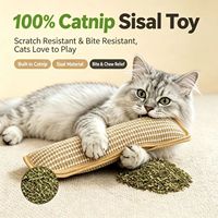 Coussin à chatouiller en herbe à chat pour chat, jouet pour animaux de compagnie pour chats d'intérieur, anti-ennui et pour le jeu autonome, coussin à mâcher durable pour chatons, vente en gros
