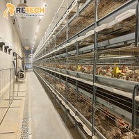 Équipement d'élevage avicole, poulailler préfabriqué en structure acier, système de cages automatiques pour poulets de chair pour 40 000 oiseaux
