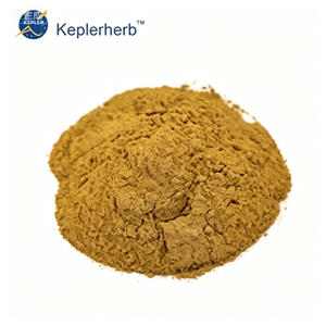 Estratto di Primula Veris 10:1, Integratore Naturale a Base di Erbe per Tosse, Bronchite, Calmante Respiratorio e Sedativo, OEM - Product Image 2