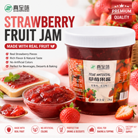 Selai Isian Buah Stroberi Premium, Saus Puree Buah untuk Pembuatan Minuman, Yogurt, Es Krim, dan Aplikasi Kue