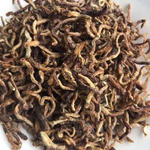 फ्रीज सूखे केंचुआ मछली Lures खाद्य केंचुए - Product Image 2