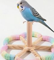 Perchoir en bois pour oiseaux Rainbow Flower, 20 cm, base à six pétales en corde de coton, pour perruches et calopsites