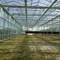 Serre en verre agricole/commerciale Serre verte Offre Spéciale la moins chère