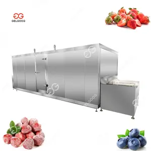 Automatic High Capacity Iqf Machine for Berries Iqf Production Line Fruit and Vegetable Freezing Line