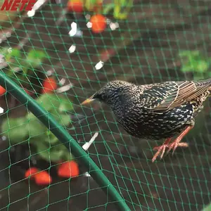 Red antiaves protectora para huerto de Agricultura, proveedor de malla resistente a aves
