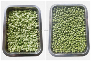 Máquina Peladora de Edamame Semiautomática de 25 kg/h a Precio de Mayoreo/Máquina Peladora de Habas Verdes/Máquina para Quitar la Cáscara de Habas Verdes - Product Image 5
