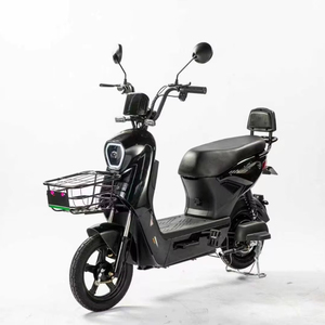 Bicicleta Eléctrica China de Diseño Clásico de 14 Pulgadas con Motor Trasero sin Escobillas de 500W, Pantalla Digital de 3 Velocidades y Batería de Litio, Envío Gratis - Product Image 1