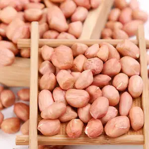 Cacahuetes en rama Jumbo, frutos secos naturales de alta calidad