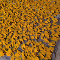 Matériel naturel pour la fabrication de mouches de pêche, poils de queue de cerf (Deer Whitetail Buck) pour leurres de pêche en eau salée Shtreimel, Odocoileus Virginianus