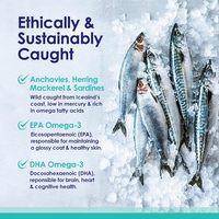 OEM grosir murni Omega-3 minyak ikan gel lunak untuk anjing mantel kulit dukungan kekebalan tubuh kesehatan untuk penumpahan/kering/gatal alergi kulit