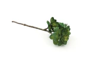 Nuevo diseño al por mayor barato encantador <span class=keywords><strong>de</strong></span> la casa y el jardín <span class=keywords><strong>de</strong></span> flores unpotted artificial <span class=keywords><strong>plantas</strong></span> suculentas en venta - Product Image 4