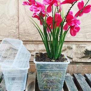 Vaso quadrato ispessito in plastica traspirante vaso di controllo Phalaenopsis cestello per piantare orchidee piante verdi cesto idroponico - Product Image 1