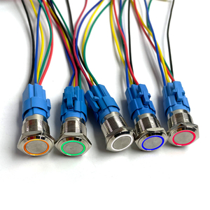 16Mm Kim Loại Đẩy Nút Chuyển Đổi Vòng Đèn Điện Biểu Tượng Không Thấm Nước LED Ánh Sáng Tự Khóa Tự Thiết Lập Lại Nút Chuyển Đổi Với Kết Nối 12V - Product Image 3