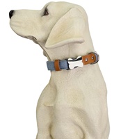 Collier pour animaux de compagnie en jean réglable pour chien, collier pour chat, laisse en cuir pour chien de grande, moyenne et petite taille, ensemble collier et laisse pour chien