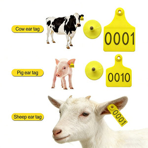 REET013 Étiquette d'oreille jetable en TPU pour animaux (bovins, porcs, moutons, etc.) - Utilisation agricole avec plusieurs tailles disponibles - Product Image 1