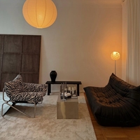Fauteuil lounge vintage à imprimé zèbre, fauteuil rétro avec structure en acier inoxydable pour la maison, l'hôtel, la vente en gros
