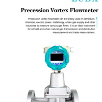 Medidor de Flujo Vortex 4-20mA RS485 IP65 para Gas, Acero Inoxidable, con Brida y Abrazadera
