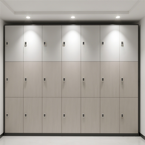 Nouvelle Armoire de Rangement Extérieure Moderne Écologique, Imperméable et Ignifuge, en Forme de Z, Épaisseur 12 mm, pour Salles de Sport, Appartements et Espaces de Stockage - Product Image 3