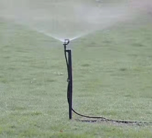 <span class=keywords><strong>Aspersor</strong></span> <span class=keywords><strong>de</strong></span> Microirrigación <span class=keywords><strong>de</strong></span> <span class=keywords><strong>Impacto</strong></span> <span class=keywords><strong>de</strong></span> Agua con Rotación <span class=keywords><strong>de</strong></span> 360 Grados para Sistemas <span class=keywords><strong>de</strong></span> Riego por Aspersión - Product Image 3