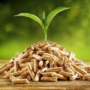 Bel bastone a buon mercato forma di legno pellet Pelet Pallet/pellet di pino naturale pellet 15kg 20kg sacchetti di riscaldamento energia pellet di legno - Product Image 2