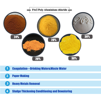 Chlorure de polyaluminium (PAC) en poudre blanche de qualité potable, floculant/coagulant 30% Al2O3 certifié ISO pour le traitement de l'eau du robinet