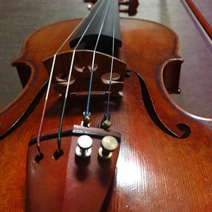 ชุดอุปกรณ์ไวโอลินไม้พุทรา 4/4 จำนวน 1 ชุด ประกอบด้วย ที่พักคาง หมุดยึดสาย ตัวปรับเสียง ตัวล็อคสาย และสายไวโอลิน - Product Image 6