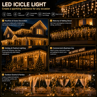 Guirlande lumineuse LED extérieure étanche 100 LED blanc chaud, rideau de lumières pour arbre, 220V IP65 3.2M, non connectable, pour patio, mariage, Noël