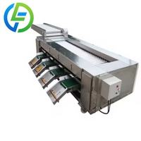 Sorteermachines voor fruit en groenten op maat, in de categorie appel, met automatische sortering en kwaliteitsclassificatie.