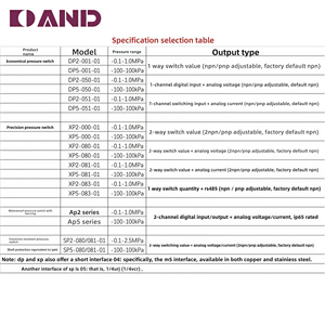 डिजिटल दबाव मैनोमीटर DP5-001-01 समग्र-100 ~ 100kpa 1 रास्ता उच्च सटीकता ट्रांसड्यूसर 1 साल चीन मूल - Product Image 4