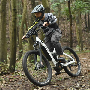 2024 Offre Spéciale personnalisé adulte vélo <span class=keywords><strong>électrique</strong></span> M620 moteur Central 750w 48v suspension complète vélo <span class=keywords><strong>électrique</strong></span> <span class=keywords><strong>vtt</strong></span> montagne ebike - Product Image 4