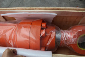 <span class=keywords><strong>Boom</strong></span> Arm Bucket Cylinder Assy ZX450 EX450 piezas de repuesto de excavadora para maquinaria de construcción Hitachi Belparts - Product Image 5